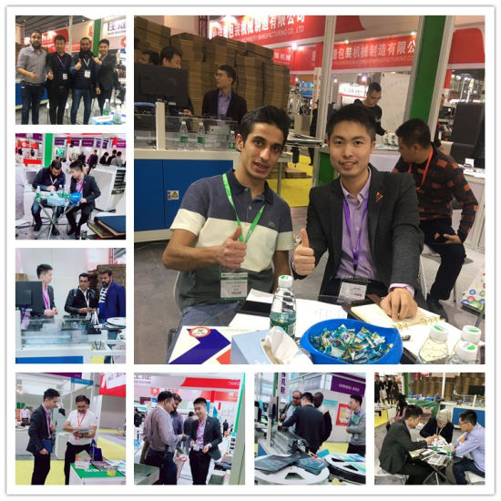 Color Printing Die Cutter (Cutting Machine)