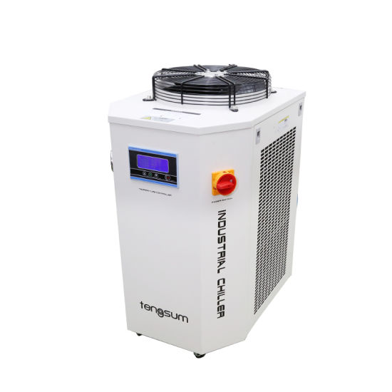 600W Plywood Die Board Laser Cutting Machine